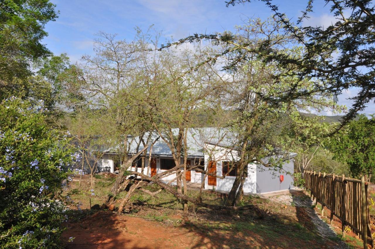 Hazyview Buffalo Game Lodge Extérieur photo